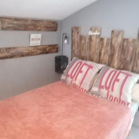 Chambre 23M2 Avec Jardin Wi-Fi Gratuit Saint-Girons 아파트 외부 사진