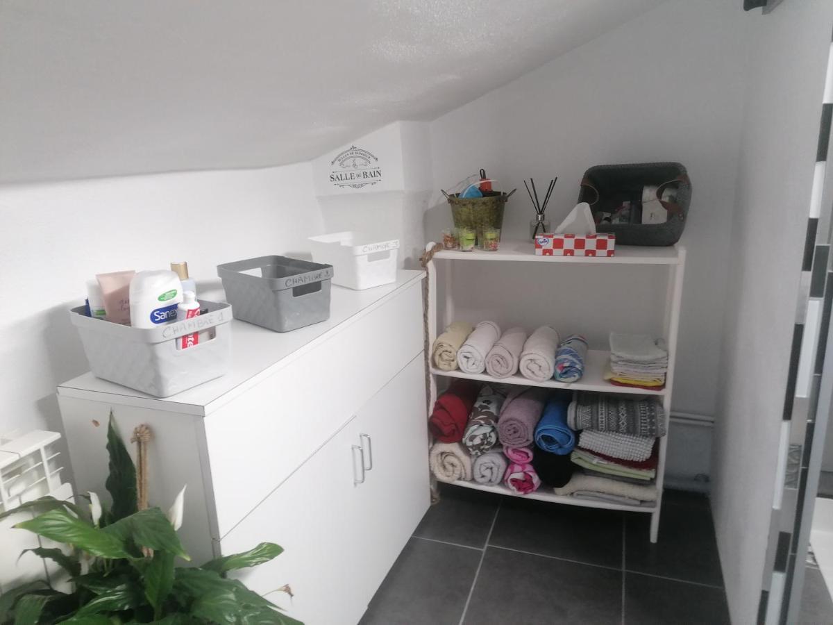 Chambre 23M2 Avec Jardin Wi-Fi Gratuit Saint-Girons 아파트 외부 사진