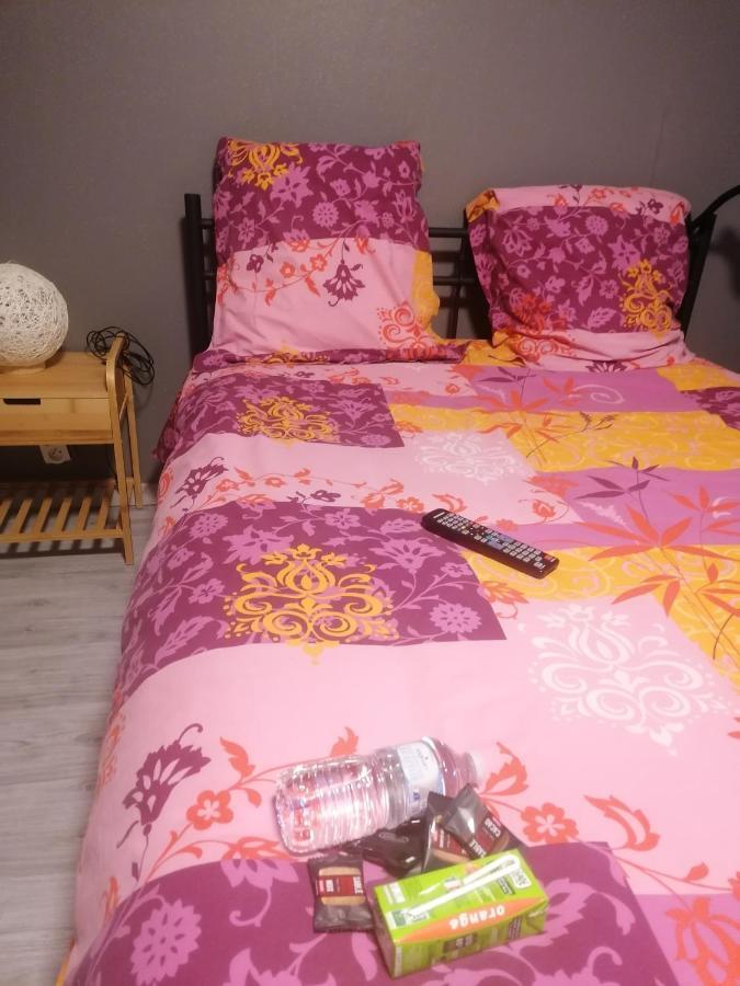 Chambre 23M2 Avec Jardin Wi-Fi Gratuit Saint-Girons 아파트 외부 사진